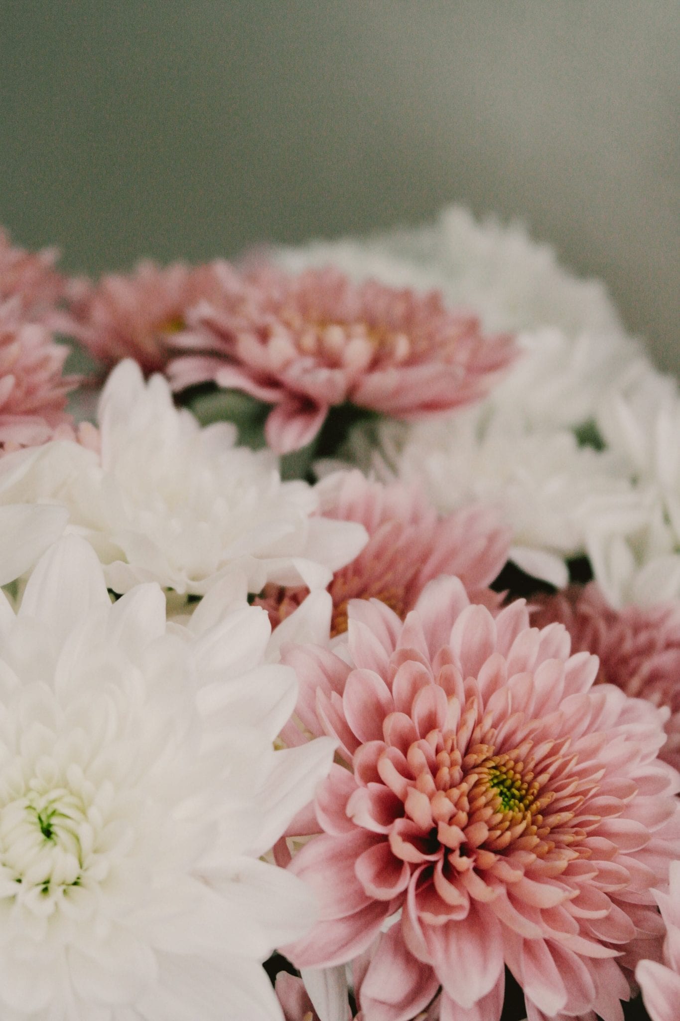 Pink & Grey Flowers